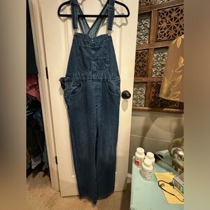 Free people Ziggy overalls